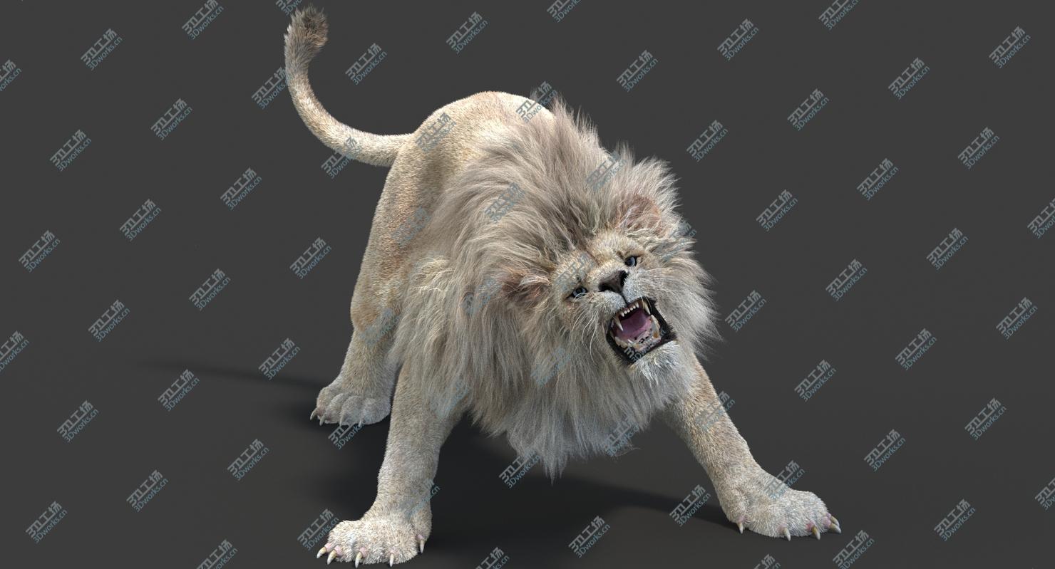 images/goods_img/202105072/3D model White Lion (2) (Fur)(Animated)/3.jpg